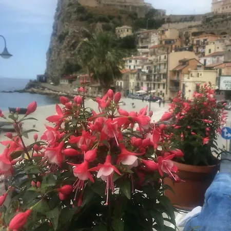Mareblu Scilla